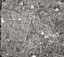 Ten aerial photographs in mainly the Eastern suburbs