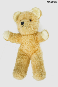 Teddy