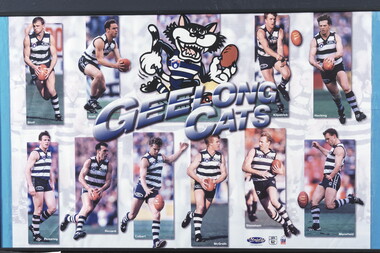 Geelong Cats Print 1990s players	Sholl, Brad: Snell, Jason: Kilpatrick, Glenn: Hocking, Garry: Pickering, Liam: Riccardi, Peter: Colbert, Leigh: McGrath, Tim: Stoneham, Barry: Mansfield, Michae