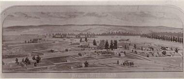 Photograph - Black and White, Brown Hill, 1889, 1889