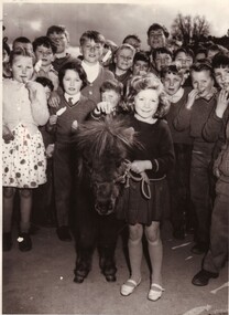 Photograph - Black and White, Pet Show at Brown Hill State School, 1963, 20/08/2016