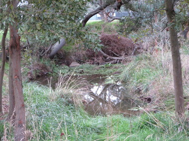 Photograph - Colour, Clare Gervasoni, Waterhole in the Yarrowee Creek near Brown Hill Hotel, 2016, 01/06/2016