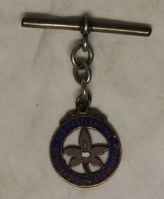 Badge, Old Castlemaine Schoolboys Association