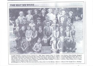 Newspaper Clipping, Taradale Primary School 1954