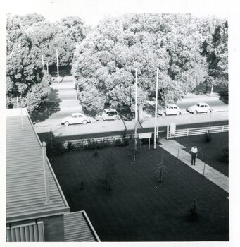  Bird's eye view of Royal Parade (a street) with a row of cars. A single male person is standing on a cement path leading to international house. 