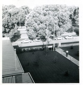  Bird's eye view of Royal Parade (a street) with a row of cars. A single male person is standing on a cement path leading to international house. 