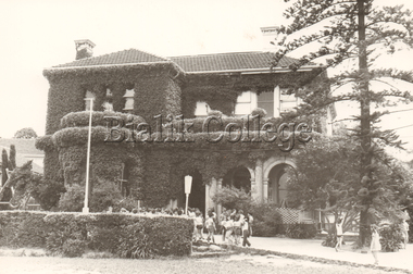 Photograph, Shakespeare Grove, c. 1960s, c. 1960s