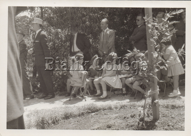 Photograph (item) - Shakespeare Grove opening ceremony, 1963