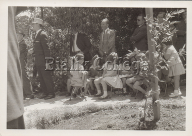 Photograph (item) - Shakespeare Grove opening ceremony, 1963, 1963