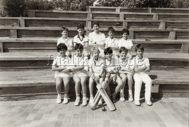 Photograph (item) - Boys cricket team, 1986