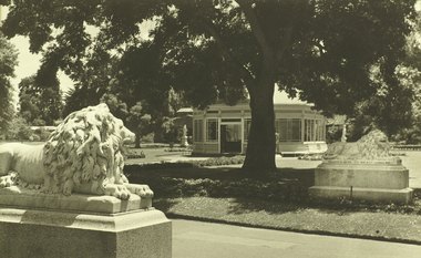 Photograph, Marble Lion Statues and Statuary Pavillion, Botanical Gardens, Lake Wendouree