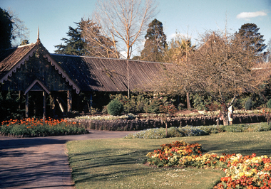 35mm Slide, Fernery, Ballarat Botanical Gardens, circa 1950s
