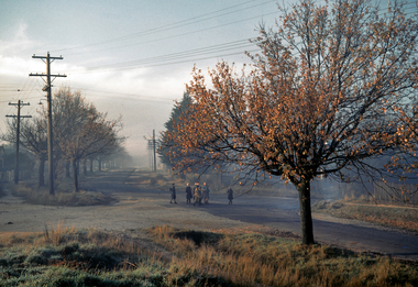 Slide - 35mm Slide, Children in Clayton Street, on their way to school circa 1950s