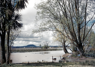 35mm Slide, Lake Wendouree circa 1950s