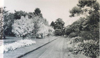 Photograph, Botanic Gardens, Ballarat circa 1930