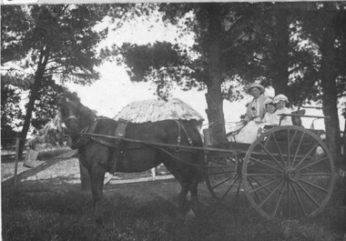 Photograph, Mrs May and daughters in horse drawn gig at Glendaruel circa 1905