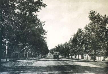 Photograph - Card Box Photographs, Electric tram travels along Drummond Street, Ballarat 1915