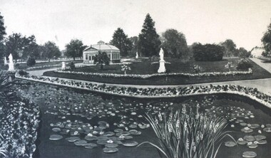 Photograph - Card Box Photographs, Lily pond at the Ballarat Botanic Gardens, 1915