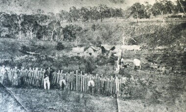 Photograph - Card Box Photographs, Pioneer Settlement Selection, Ballarat c1870