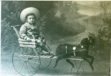 Photograph - Card Box Photographs, Francis Murray, Ballarat 1908