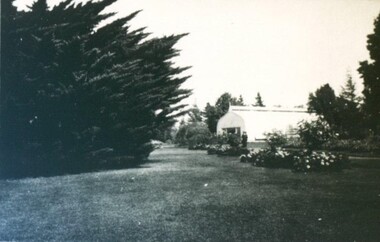 Photograph - Card Box Photographs, Keel Glasshouse at the Ballarat Botanical Gardens 1923