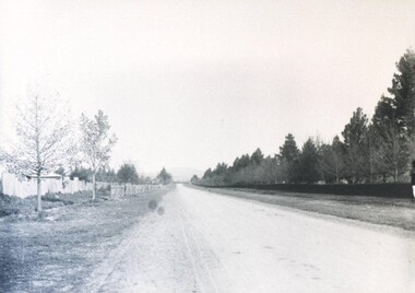 Photograph - Card Box Photographs, Victoria Park, Ballarat circa 1910