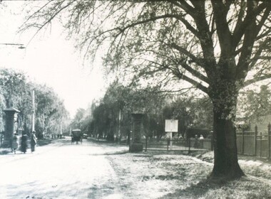 Photograph - Card Box Photographs, North Gates, Ballarat Botanic Gardens circa 1915