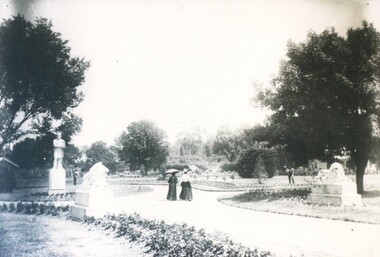 Photograph - Card Box Photographs, Ballarat Botanic Gardens circa 1910