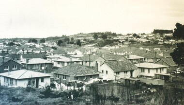 Photograph - Card Box Photographs, View of Sovereign Hill before the development of the historical village circa 1960