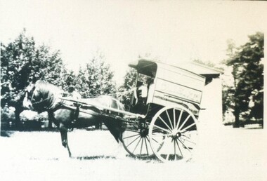 Photograph - Card Box Photographs, G. Kent Dairyman's delivery cart, Ballarat circa 1921