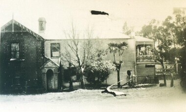 Photograph - Card Box Photographs, Wilkins & Williams General Store,  Newlyn circa 1908