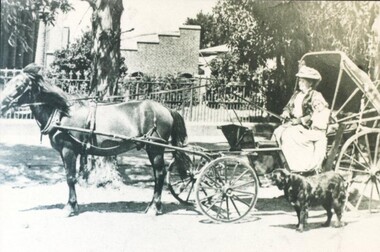 Photograph - Card Box Photographs, Jeanette Thomas in her carriage 1906