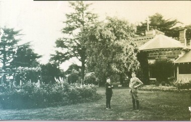 Photograph - Card Box Photographs, Herbert & Arthur Tippett, 1926