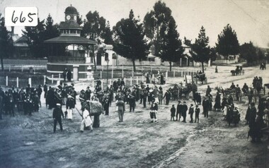 Photograph - Card Box Photographs, Empire Day Pageant, Beaufort circa 1905