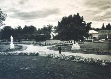 Photograph - Card Box Photographs, Ballarat Botanic Gardens circa 1910