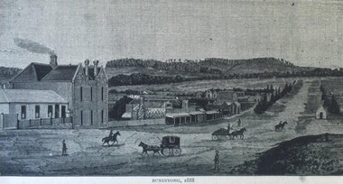 Photograph - Card Box Photographs, View of Buninyong, 1888