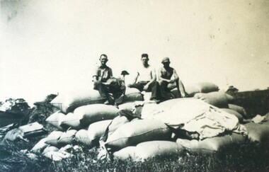 Photograph - Card Box Photographs, Agricultural workers on chaff filled bags 1939