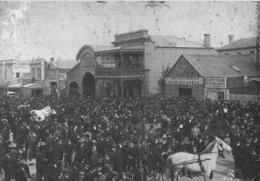 Photograph - Card Box Photographs, Horse Show on Doveton Street North, Ballarat circa 1910
