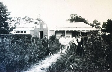 Photograph - Card Box Photographs, 'Hillview' Windermere.  Home of the Harding family circa 1905