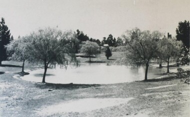 Postcard - Card Box Photographs, Eureka Reserve, Ballarat circa 1900