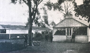 Photograph - Card Box Photographs, Glass houses Ballarat Botanic Gardens 1924