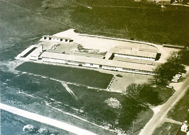 Photograph - Card Box Photographs, Ballarat East High School circa 1965