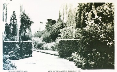 Postcard - Card Box Photographs, View in the Gardens, Ballarat