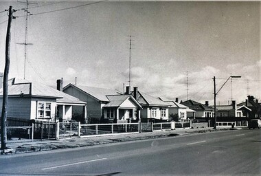 Photograph - Card Box Photographs, Houses on the west side of Main Road, Ballarat 1969