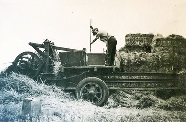 Photograph - Card Box Photographs, Pressing straw into wire tied bales, Millbrook 1939
