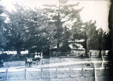 Photograph - Card Box Photographs, Barnfield, Dowling Forest circa 1880