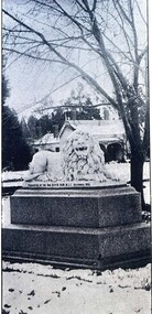Photograph - Card Box Photographs, Ballarat Botanic Gardens Lion covered in snow