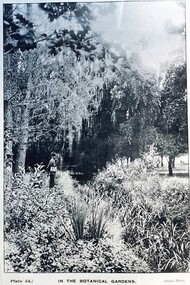 Postcard - Card Box Photographs, In the Botanical Gardens
