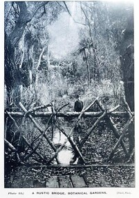 Postcard - Card Box Photographs, A Rustic Bridge, Botanical Gardens