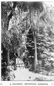 Postcard - Card Box Photographs, A Pathway, Botanical Gardens